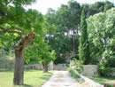 View from house